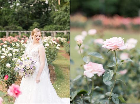 Raleigh Rose Garden Bridal Portraits Nc Wedding Photographer