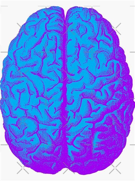 Psychedelic Brain Sticker For Sale By Monsterplanet Redbubble