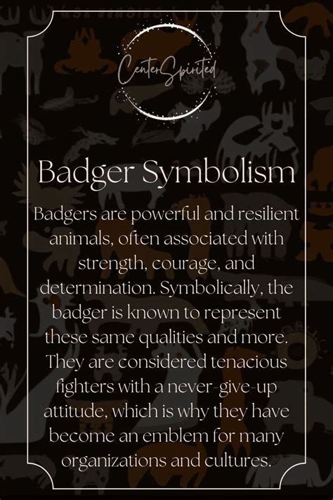Badger Symbolism And Meaning Power Totem And Spirit Animalbadgers Are