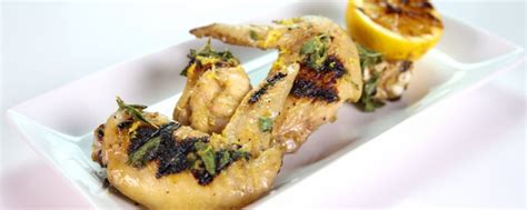 Read 26 reviews from the world's largest community for readers. Michael Symon's Grilled Lemon Oregano Chicken Wings Recipe ...