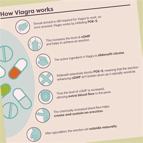 How Long Does Viagra Last —