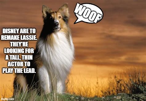 Lassie Imgflip