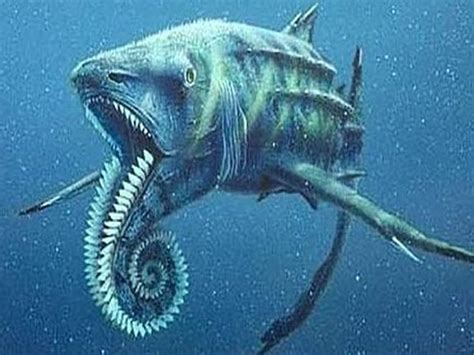 Image Result For Strange Sea Creatures Pictures Sea