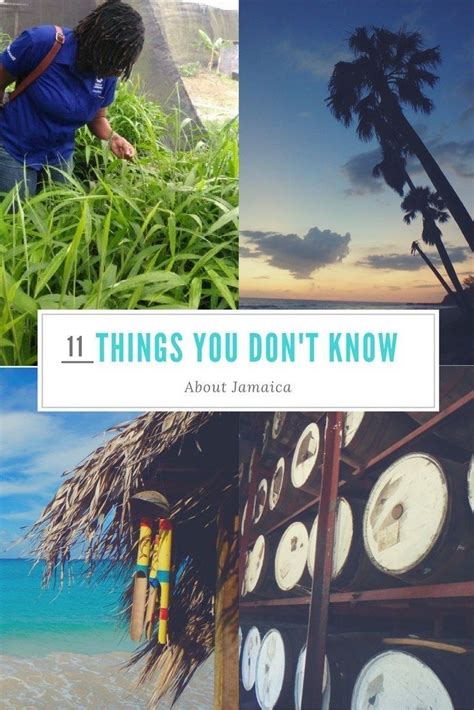11 Fun Facts About Jamaica And Jamaican Culture You