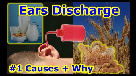Ear Discharge Fluid Common Infection Leak Cause Leaking Clear