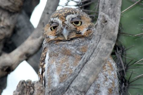 Both sides are still fighting. Best National Parks for Wildlife Viewing | Drive The Nation