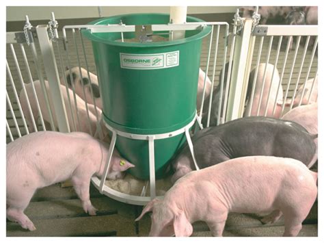 A Pig Feeder To Minimize Waste And Maximize Profits