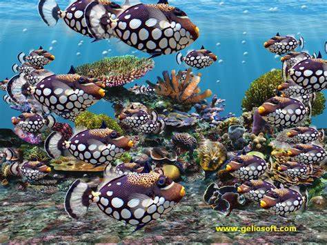 3D Screensaver and Wallpaper with Clown Triggerfish
