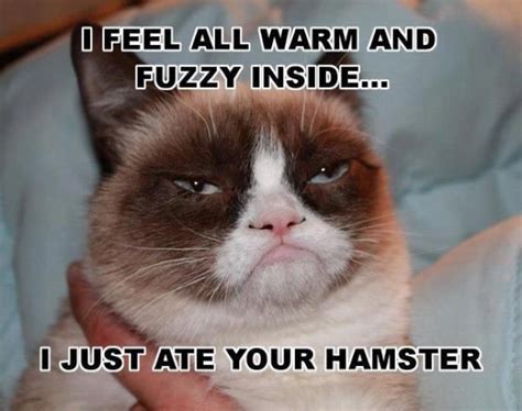 I Fell All Warm And Fuzzy Funny Pictures