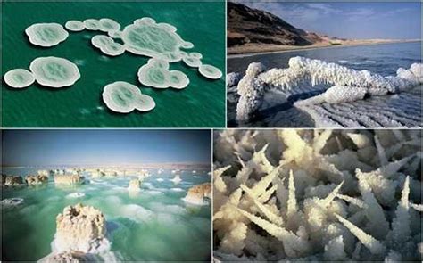 7 Amazing Dead Sea Facts For Kids