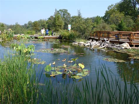 Morton Arboretum