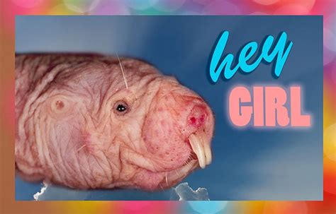 Canadian Campaign Wants Teens To Send Naked Mole Rat Pics My Xxx Hot Girl