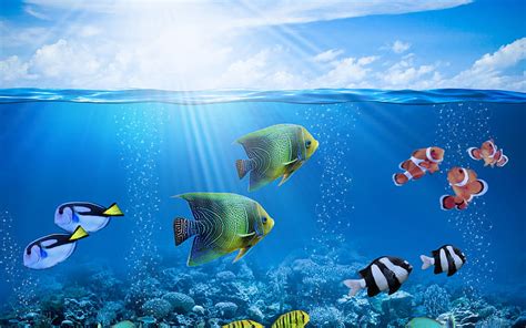 2k Free Download Vara Exotic Fish Peste Ocean Summer Blue
