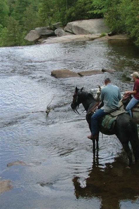 Travel South Carolina Usa Waterfalls Horseback Tours Nature