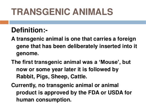 Which is a benefit of genetically modified organisms that is currently used? Transgenic animal