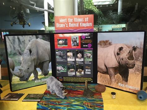Disneys Animal Kingdom Celebrates Elephants And Rhinos