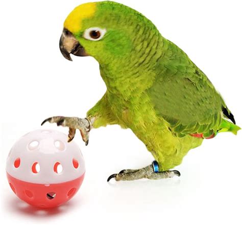 Yuanhaourty Pet Parrot Toy Bird Hollow Bell Jingle Balls