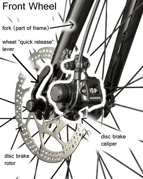 Basic Bicycle Anatomy 101 Brake Systems South Carolina Bike Shop