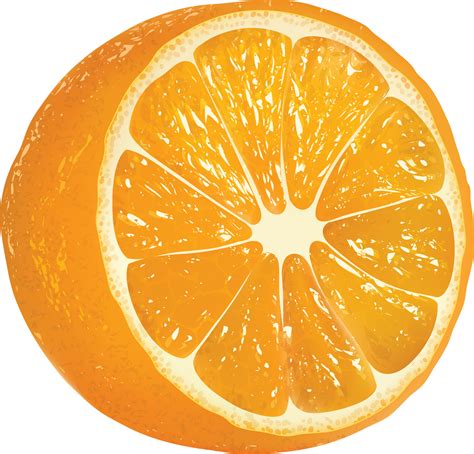 Orange Oranges Png Image Purepng Free Transparent Cc0 Png Image