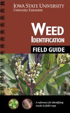 Weed Identification Guide Available Electronically News