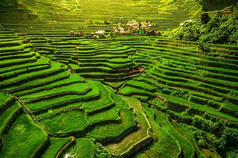 19 Spectacular Examples Of Terraced Agriculture Pics