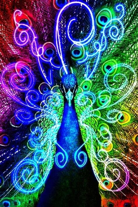 rainbow peacock by icebatwarrior99 on deviantart colorful art fractal art peacock art