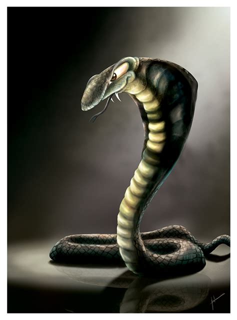King Cobra Portrait By Mirchiz On Deviantart