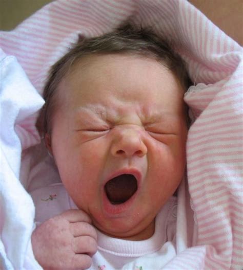 Baby Yawn Cute Baby Pictures Baby Puppies Funny Babies