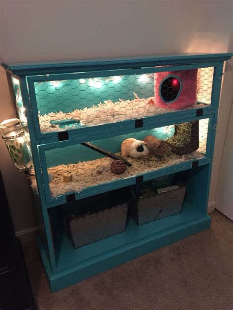 Diy guinea pig cage with a loft. Pin on Diy Rabbit Hutch Pallets