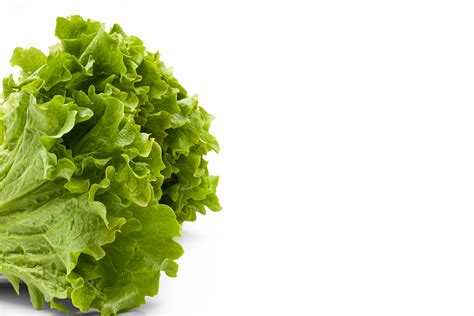Free Green Lettuce With Beautiful Juicy Leaves On A Transparent
