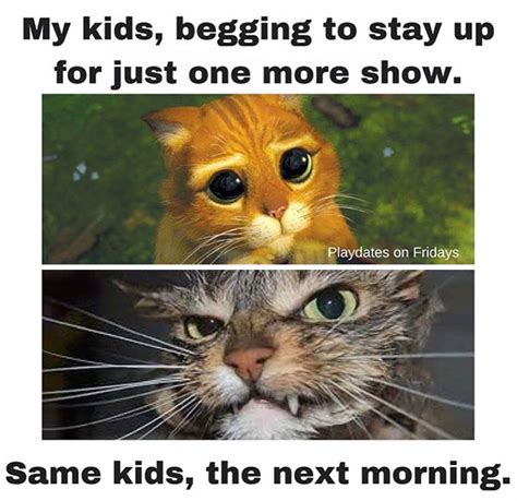 10 Parenting Memes That Will Make You Laugh So Hard It