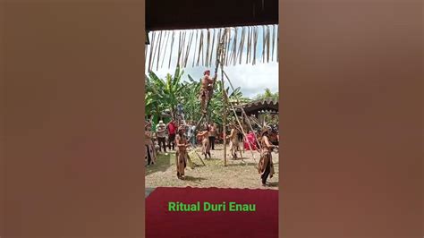 Ritual Memanjat Duri Pohon Enaushortsvirals Youtube