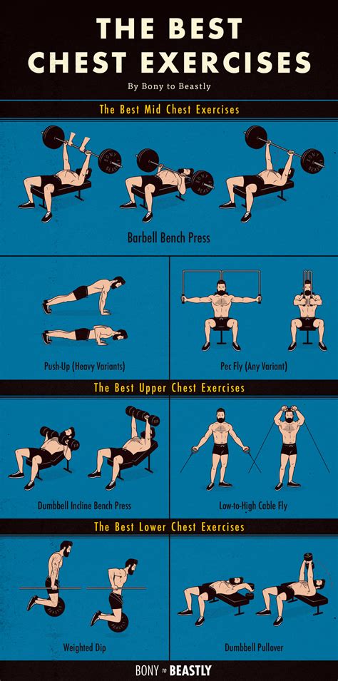 The Best Chest Exercises Chart — Bony To Beastly