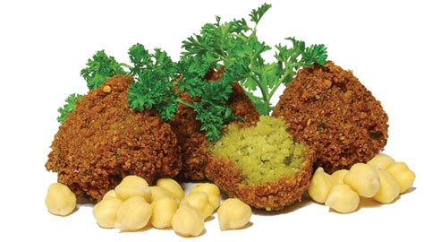 Falafel Png Free Image Png All Png All