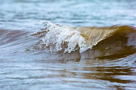 Sea Wave Free Stock Photo Public Domain Pictures