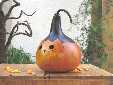 Halloween Gourd Jack O Lantern Kitty Cat Natural Fall Harvest Etsy
