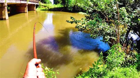 This channel is all about fishing! Creek Fishing For Catfish With Worms - YouTube