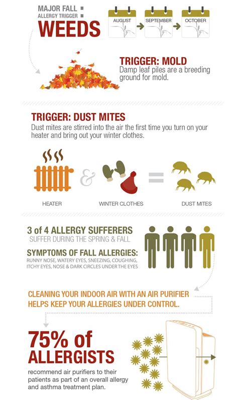 Top 25 Ideas About Allergies Suck On Pinterest Powder Count And