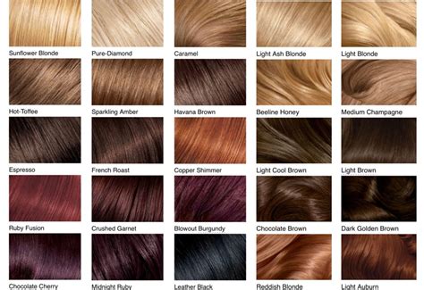 Hair Color Levels Chart