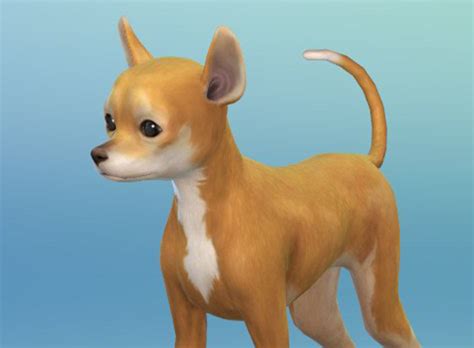 I dont know how to do it. The Sims 4 Cats & Dogs: More Create-a-Pet Screens! | SimsVIP