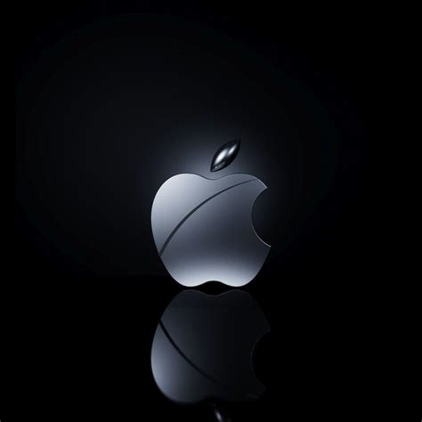 Apple Logo Ipad Wallpapers Top Free Apple Logo Ipad Backgrounds