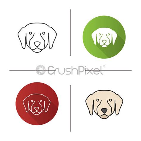 Labrador Retriever Color Icon Stock Vector Crushpixel