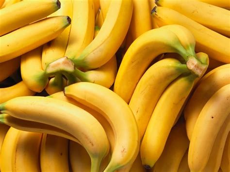 15 Different Types Of Bananas Complete Guide 2024 Northern Nester