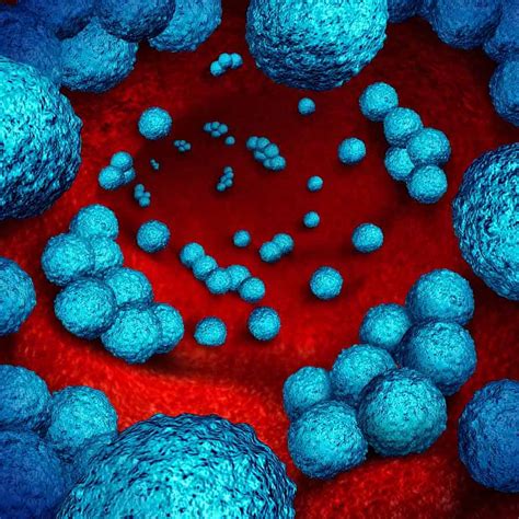 Bacteria Resistant To Antibiotics Cdc Threat Levels