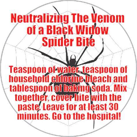 Apply cold packs to the bite area intermittently for. How To Treat A Black Widow Spider Bite At Home