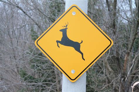 Deer Crossing Sign On Orr Road Filip Prokopenko Flickr