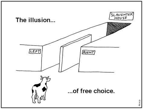 The Illusion Of Free Choice Original The Illusion Of Free Choice