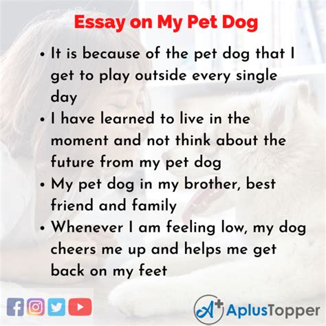 Essay On My Pet Dog My Pet Dog Essay In English For Students And