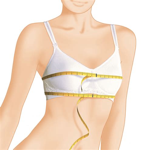 In example 32b and 34a is women also tend to wear the wrong sized bras so a lady wearing a 36b cup, who is slim may in fact be a 32d, which i would consider full or bigger but. How To Correctly Measure For Your Bra - Dianne's Mastectomy