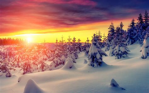 Winters Sunset Hd Wallpaper